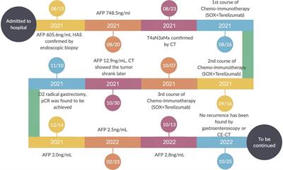 Pathologic complete response of hepatoid adenocarcinoma of the stomach after chemo-immunotherapy: A rare case report and literature review